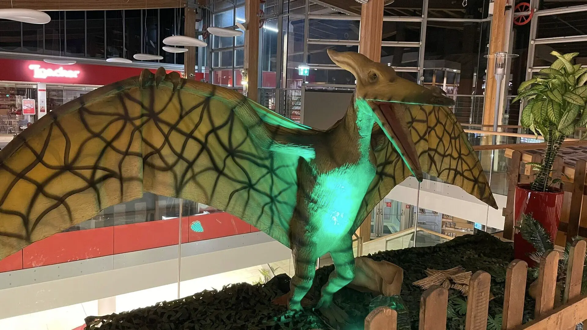 Dinosaurs conquer Outlet Center Brenner